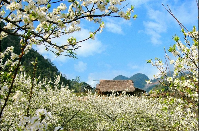 Mai Chau in Spring